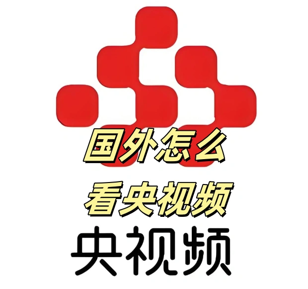 国外怎么看央视频